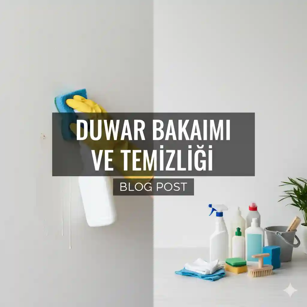 Duvar Bakımı